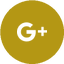 googleplus